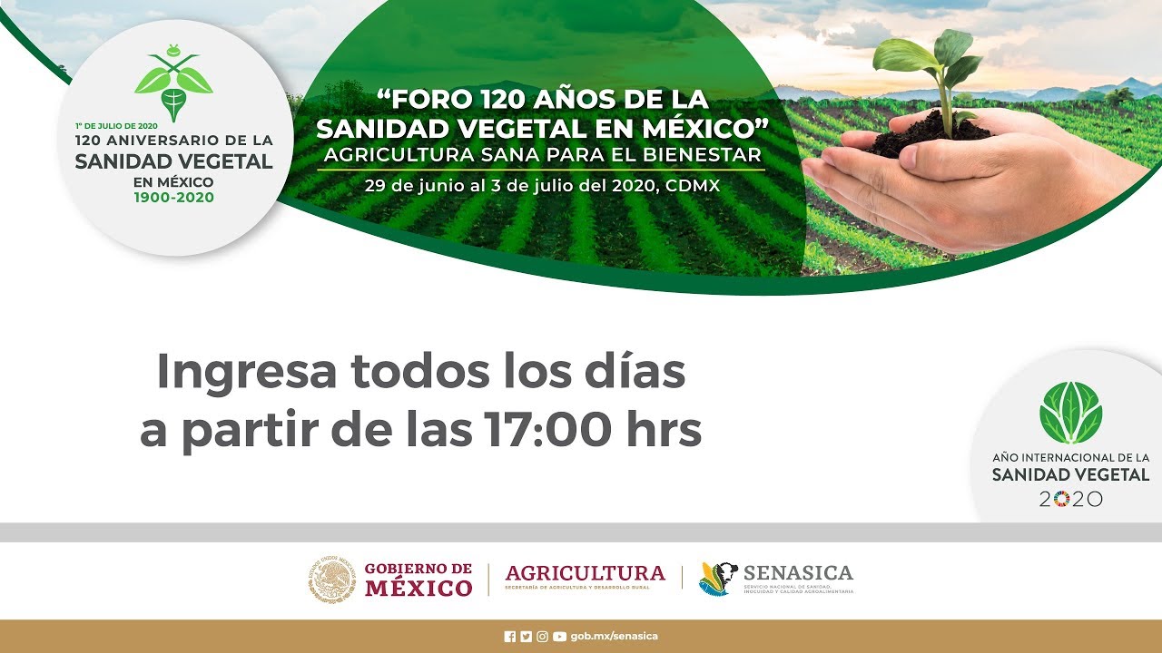 120 Años Sanidad