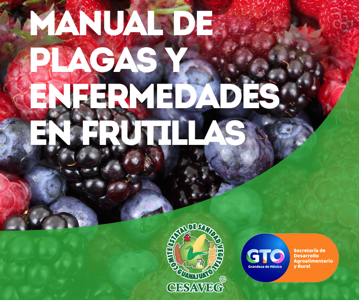 Manual Frutillas