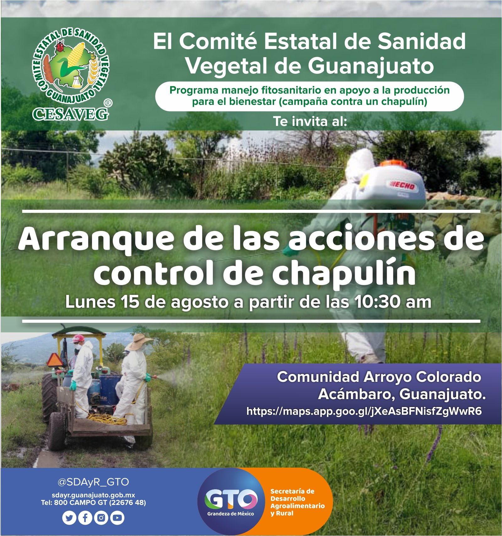Chapulín