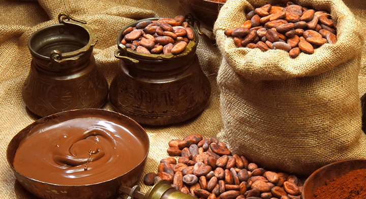 Plantas y Alimentos Nativos