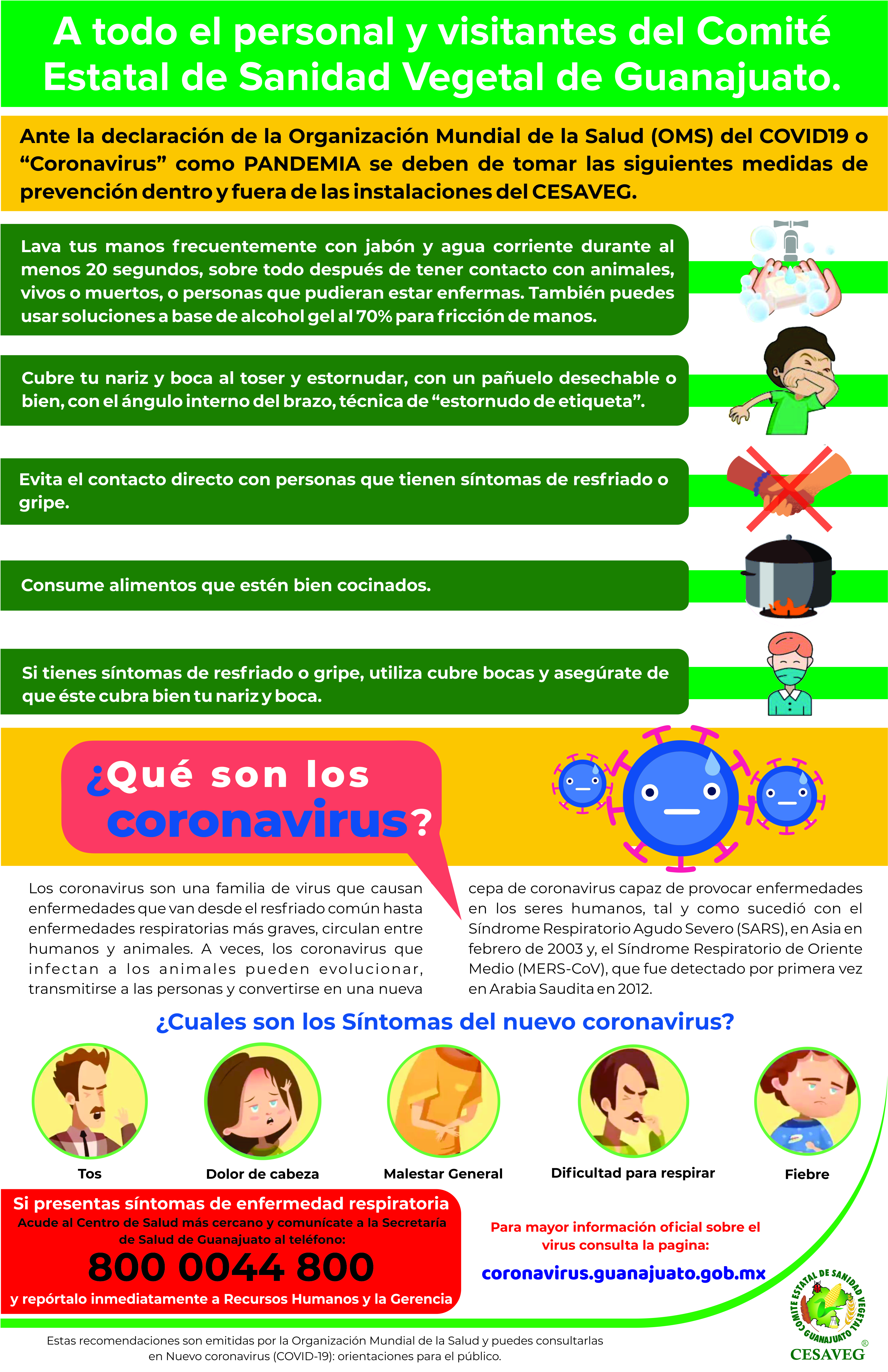 Coronavirus