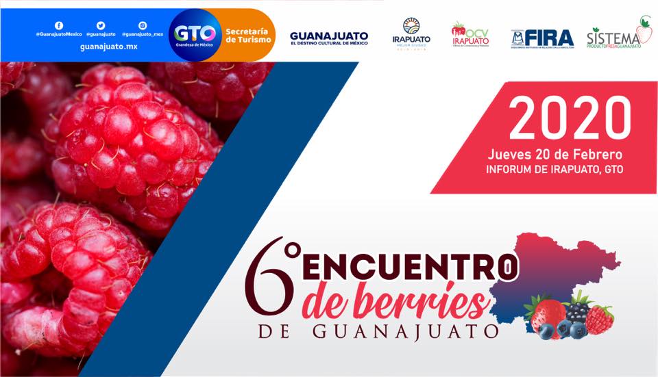 Expo Berries