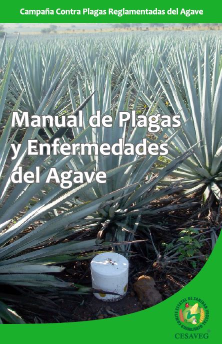 Manual Agave